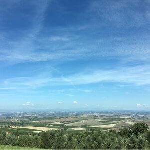 Meet your Posher, Melanie